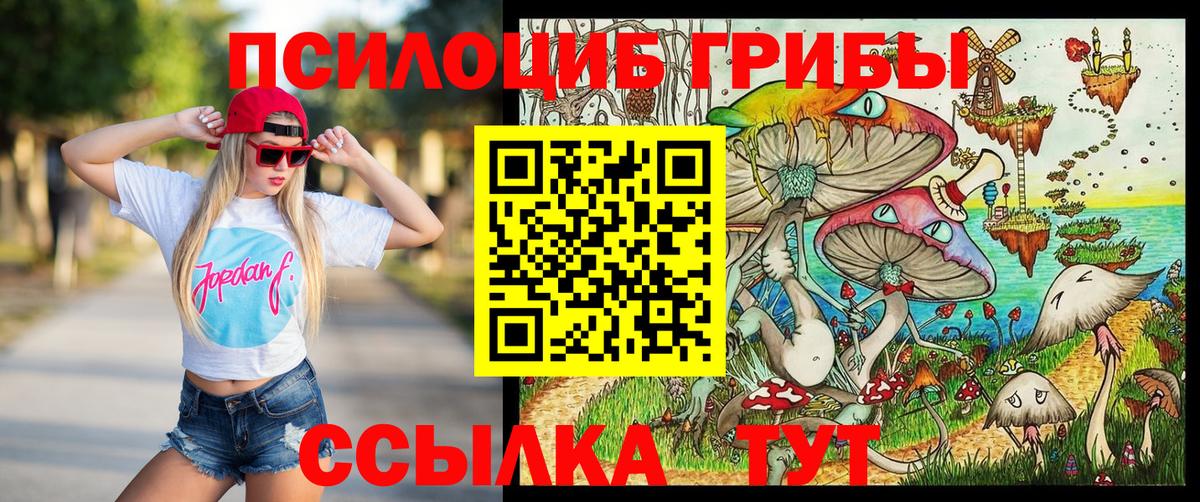 Псилоцибиновые грибы Psilocybine cubensis  купить  сайты  Зеленокумск  Галлюциногенные грибы Cubensis  Вход с VPN 