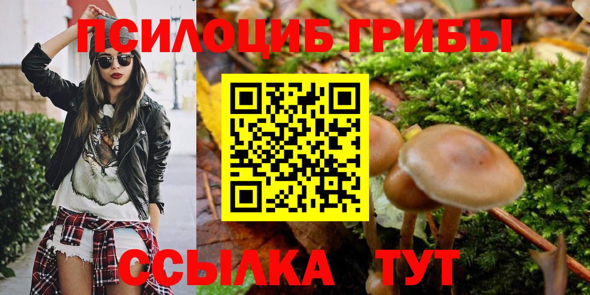 Псилоцибиновые грибы мицелий Зеленокумск